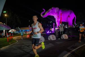 BIB: 
                            <button type="button" onclick="openModal(26552121)" class="btn btn-primary btn-sm float-right btn-popup" data-toggle="modal" data-target=".modal-high-quality">
                        <i class="fas fa-shopping-cart"></i> Add to Cart
                    </button>
                                            <button type="button" onclick="isThisMe(26552121, true)" class="btn btn-success btn-sm float-right btn-popup btn-isme hidden" data-toggle="tooltip" data-placement="bottom" title="นี่คือรูปของคุณใช่ไหม คลิกที่นี่เพื่อเอาเข้าอัลบั้ม">
                        <i class="fas fa-plus"></i> Add to album
                    </button>
                    <button type="button" onclick="isThisMe(26552121, false)" class="btn btn-warning btn-sm float-right btn-popup btn-isnotme hidden">
                        <i class="fas fa-ban"></i> Remove from album
                    </button>